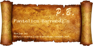 Pantelics Barnabás névjegykártya