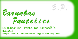 barnabas pantelics business card
